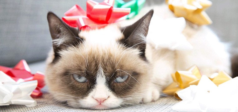 grumpy cat christmas gift